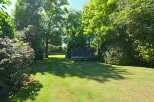 Photo 29- click for photo gallery